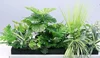 green Style c