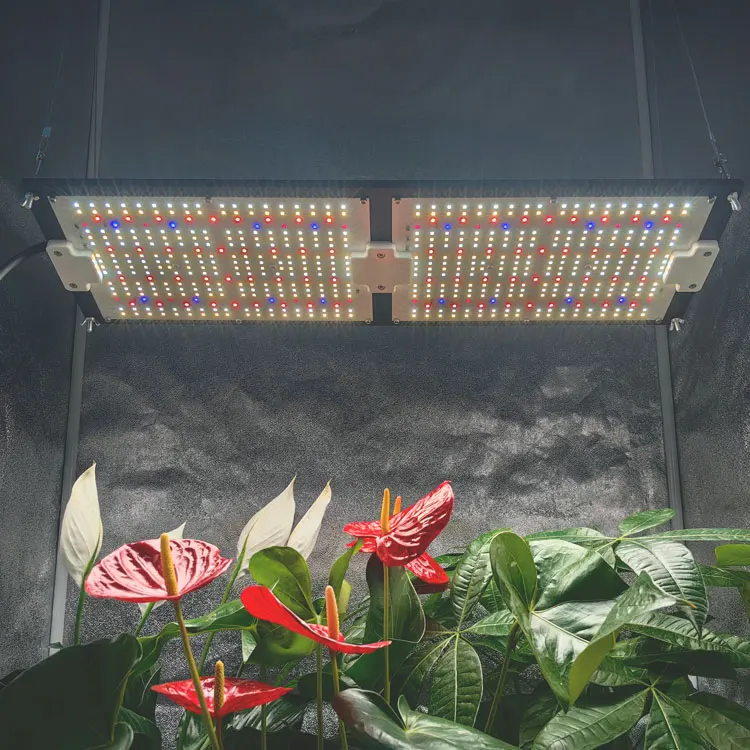Samsung LM301H LED Grow Light - 240W, 50000 Hours Lifespan