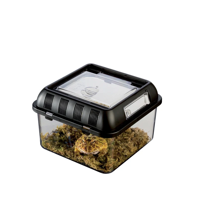 ペット用透明PPプラスチック魚ケージ20*20 * 15cm爬虫類箱クモ