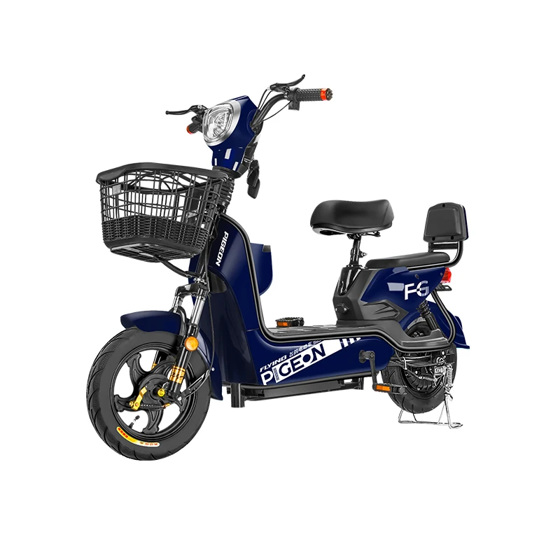 electric cycle in cheap price