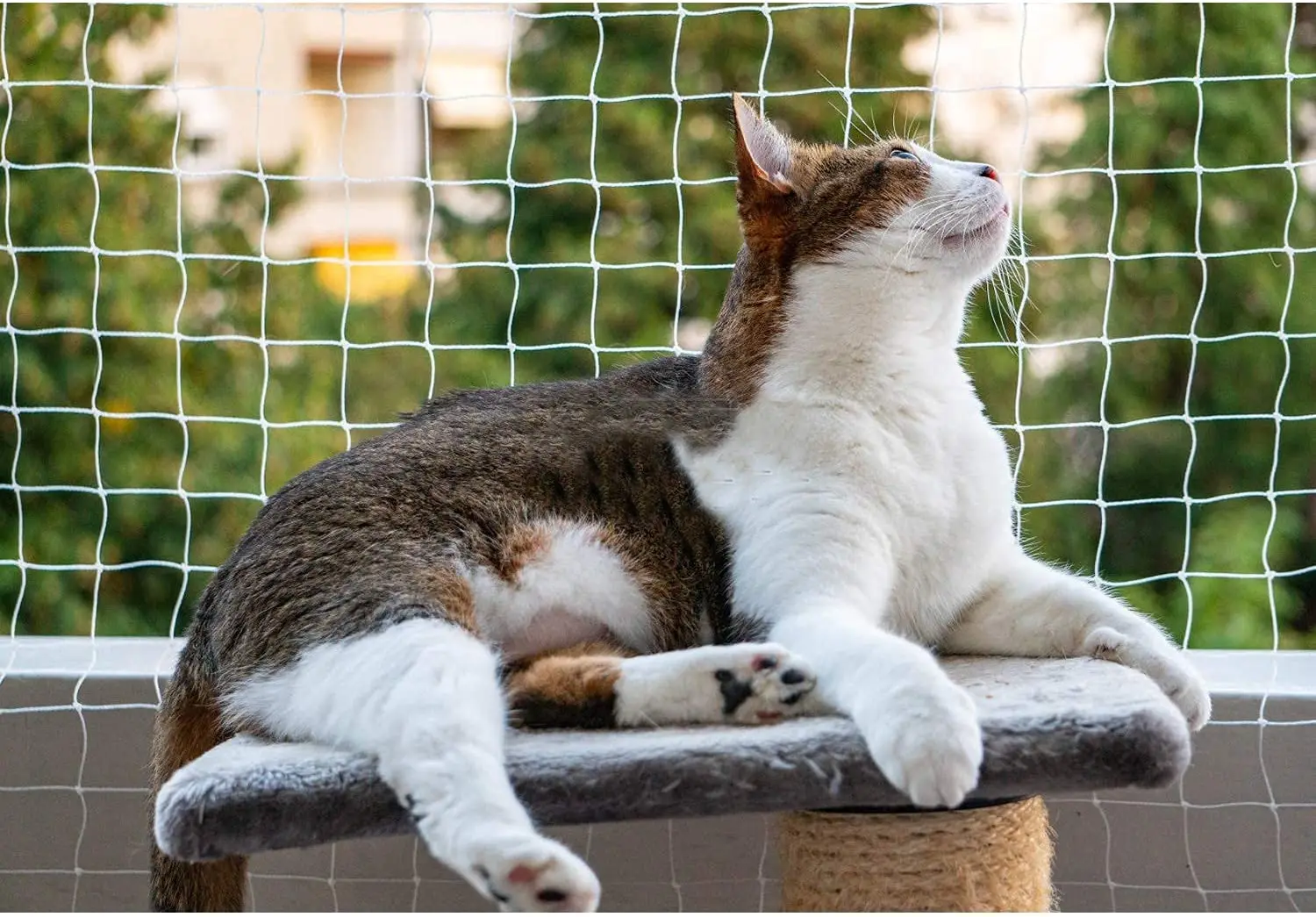 Cat Protective Net for Balcony/Patio BASHI Universal Cat Safety Net Safety Mesh Variety Size Provided Transparent High Visibility Protective Mesh