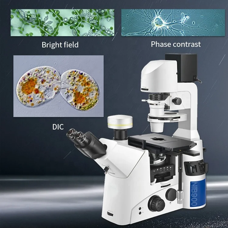 Boshida Bd-nib910 Apo Objective Inverted Fluorescence Microscope With ...
