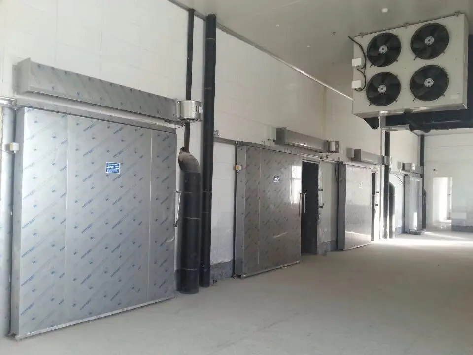 Industrial custom walk-in refrigerators and freezers for food processing and logistics storage