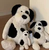 Perro pirata 51cm