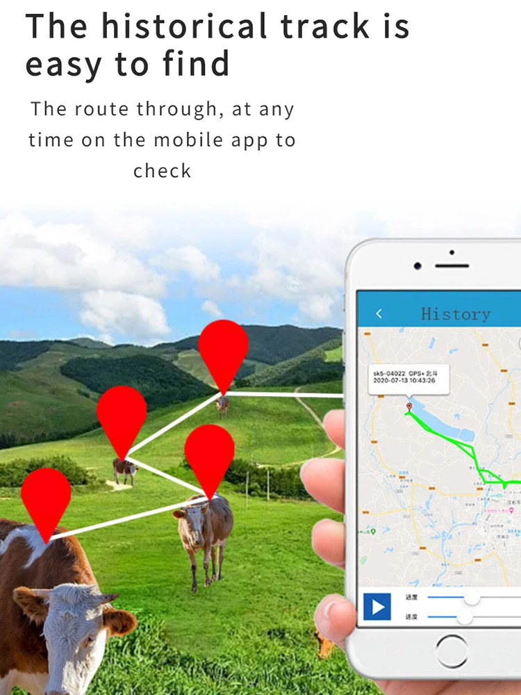 Waterproof Solar Powered Gps Tracker For Cow Cattle Sheep Livestock