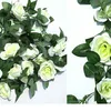 16 blanco lechoso rosado
