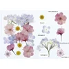 18ชิ้น/ถุง, JH-011