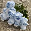 Blu-chiaro