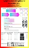 Volkswagen Passat PRO Symphony 30 Lights