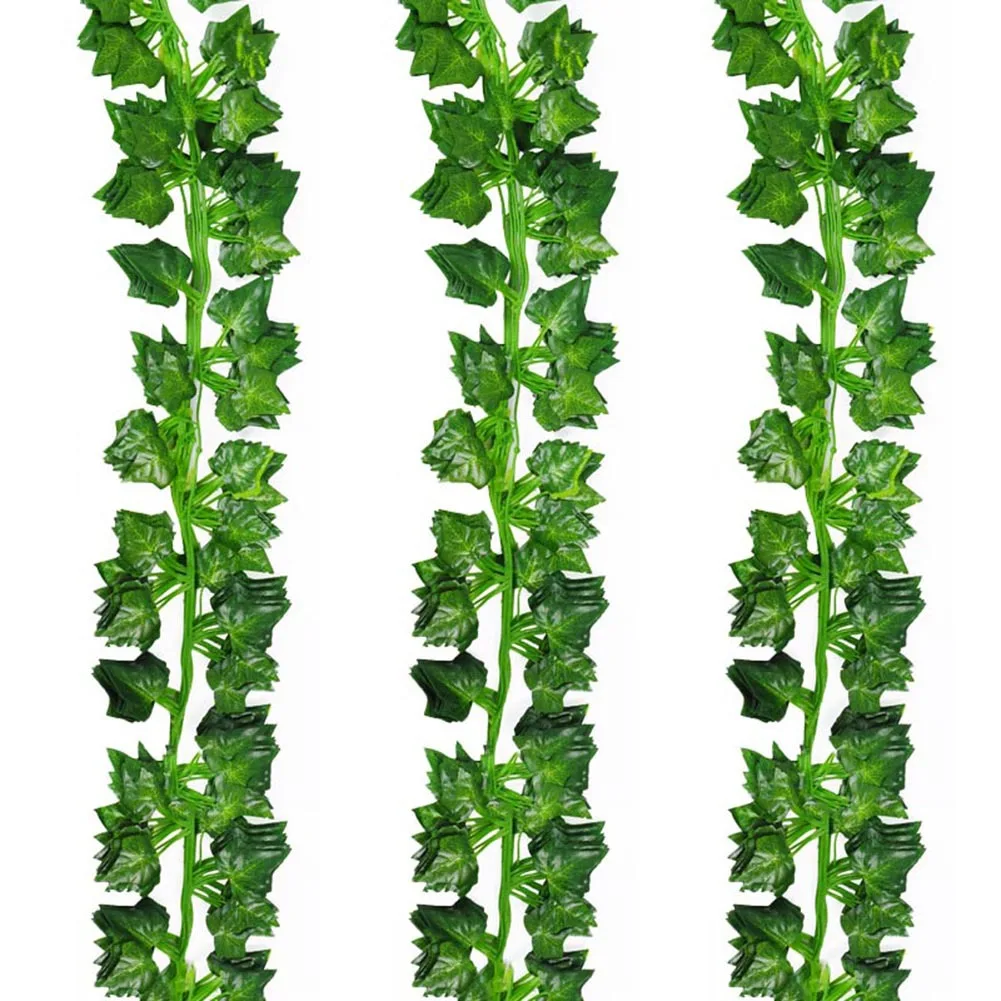 baumschnitt eibe Europäische Eibe - Taxus baccata main image 1