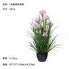 กระถางต้นไม้ Landrace 5 หัว ขนาด 50 ซม.