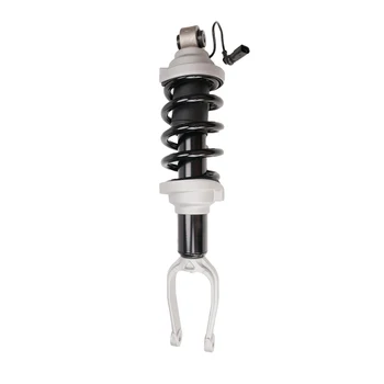 R8 absorber 4S0412019C Air Spring Strut Air Shock Absorber Front Air Suspension For AUDI R8 4S0412019C