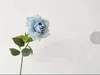 #4 blue