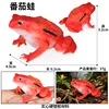 colorful 4009 Tomato Frog