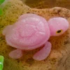 สีชมพู
