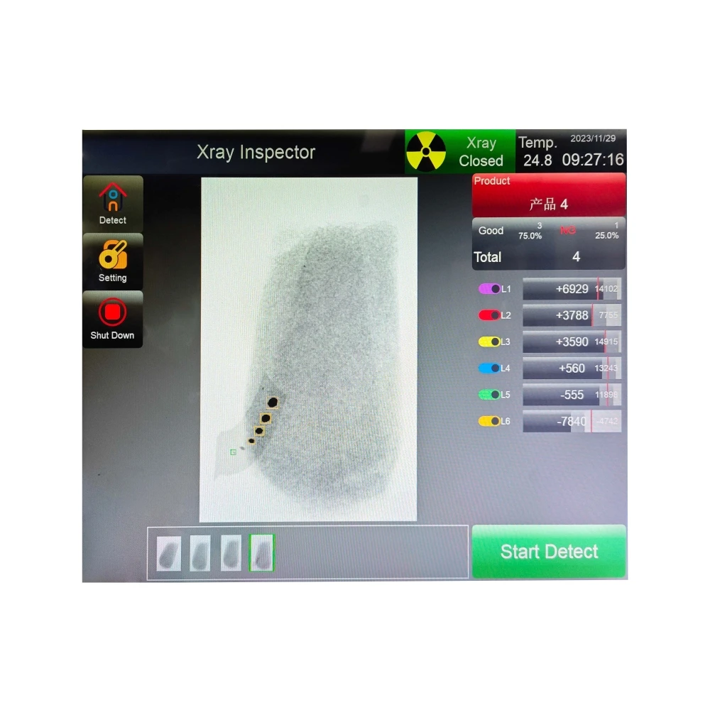 X-ray Inspection System X Ray Machine for Food Textile Chemical Industrial Detection