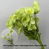 Fiore di papavero verde