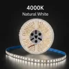 4000 เคลวิน