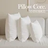 3D High-Elastic Feather Velvet Pillow Core