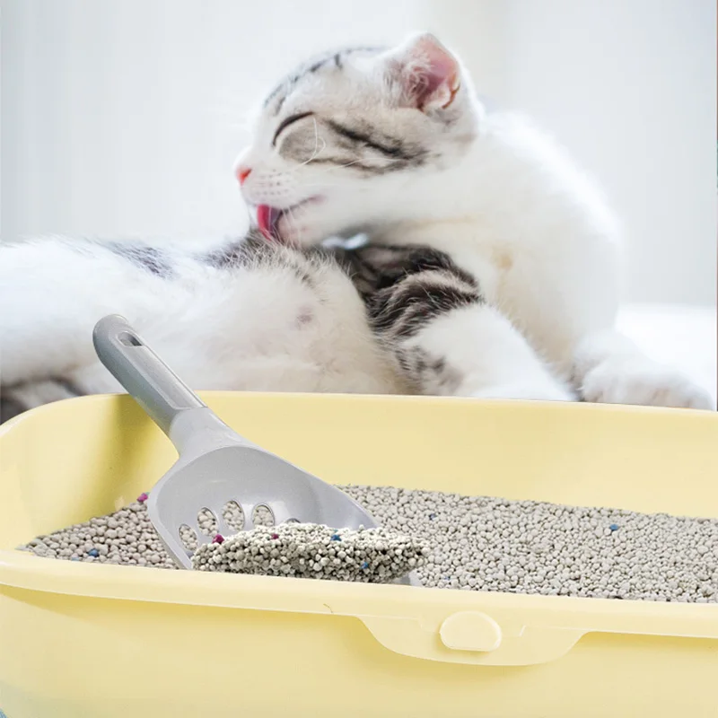 Cats Litters Hot Selling Bentonite Cat Sand Litter Free Sample - Buy ...