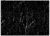 A0-6002