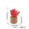 Ph01-2