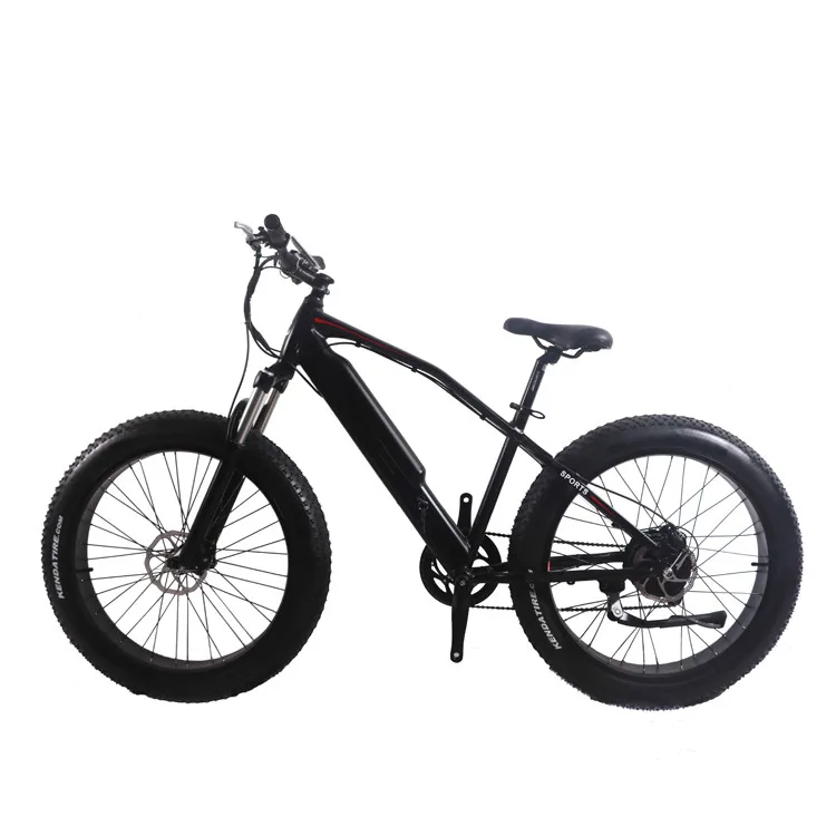 fast electric bike cheap