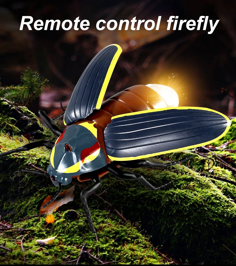 Firefly insect