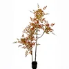 New nantianzhu red-150cm
