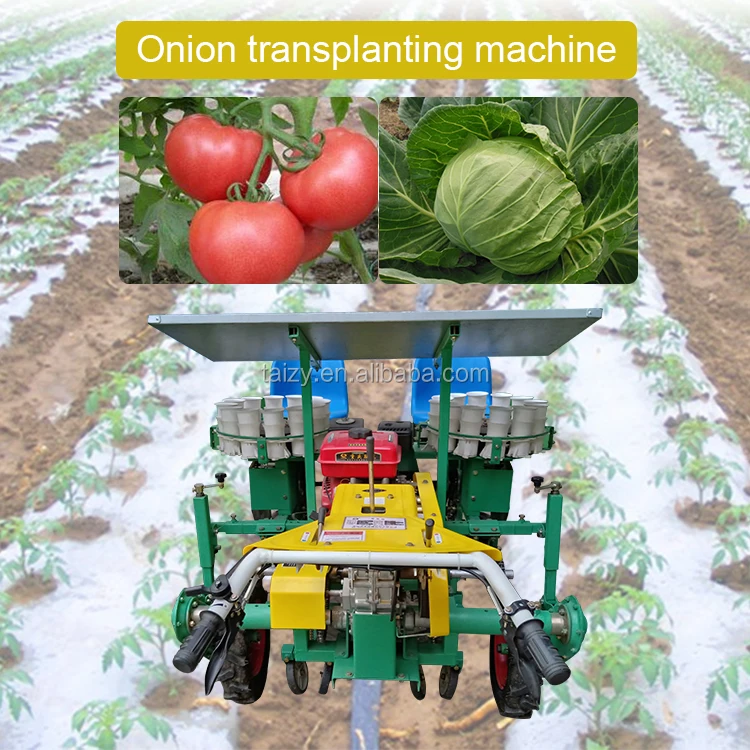 Automatic Seedling Planting Machine 2rows Hand Push Vegetable Onion Seed Planter Plant Seedling