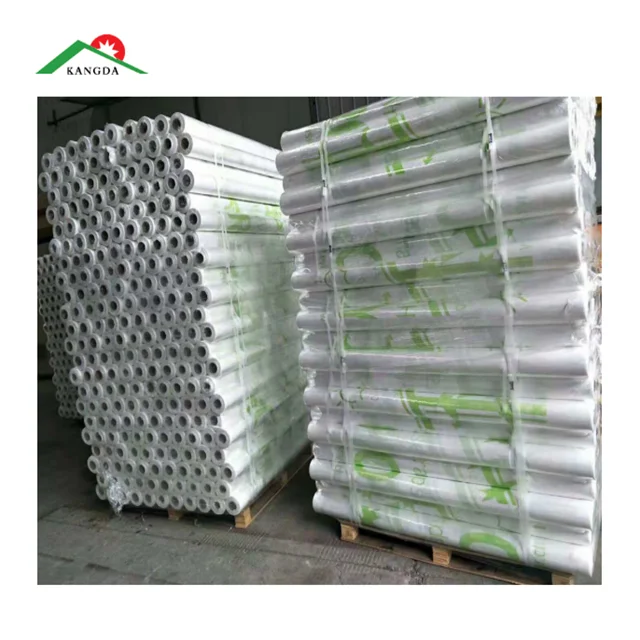 Roof Waterproofing Membrane(airtight Foil) Made Of High Polymer Under