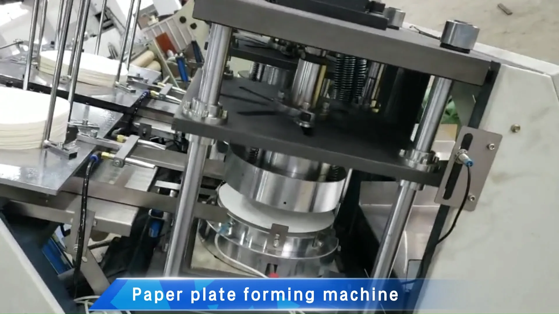 Paper Plate Machine Making Paper Dish Tray Forming Fully Automatic