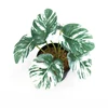 Variegato