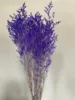 Blu viola