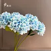Azure-new model