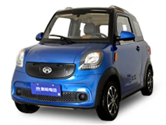 Богатый H6 Новый электрический автомобиль 50 км/ч с 72 в 100 А/ч свинцово-кислотная батарея для городского использования