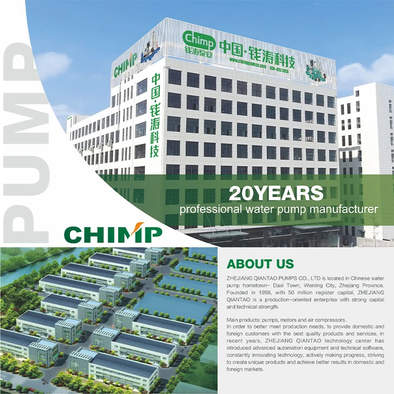 CHIMP High Quality YY Series 0.55kw 2800rpm Single-phase Capacitor-run Asynchronous Electric Motor