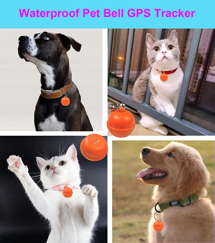 Micro Size Lightweight Waterproof GPS Tracking Device for Cats