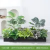hc-Y100-6 es adecuado para jardineras de 100 cm.