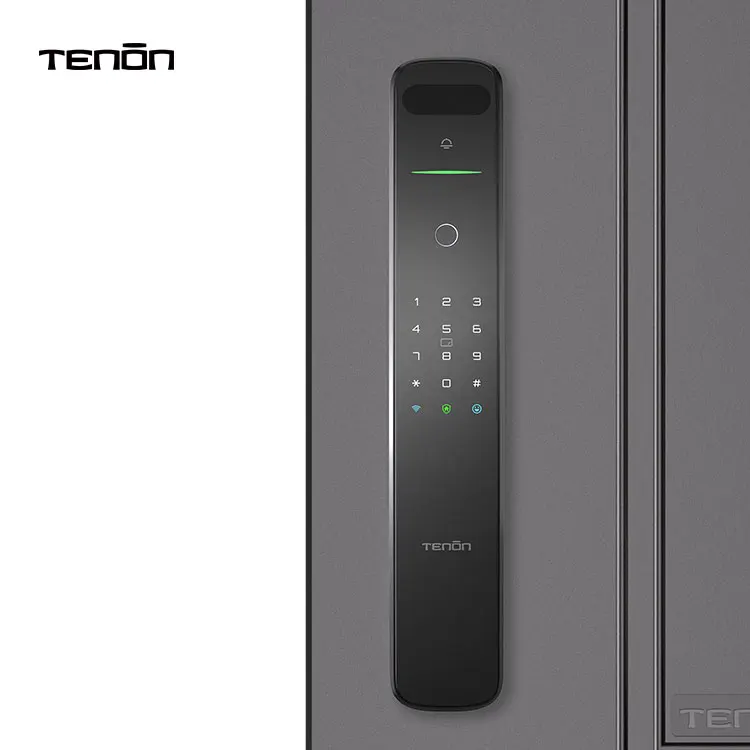 Tenon A9X Safety Wireless Gate Door Lock Aluminum Alloy Electric Fingerprint Facial Recognition Mechanical Key Smartlock
