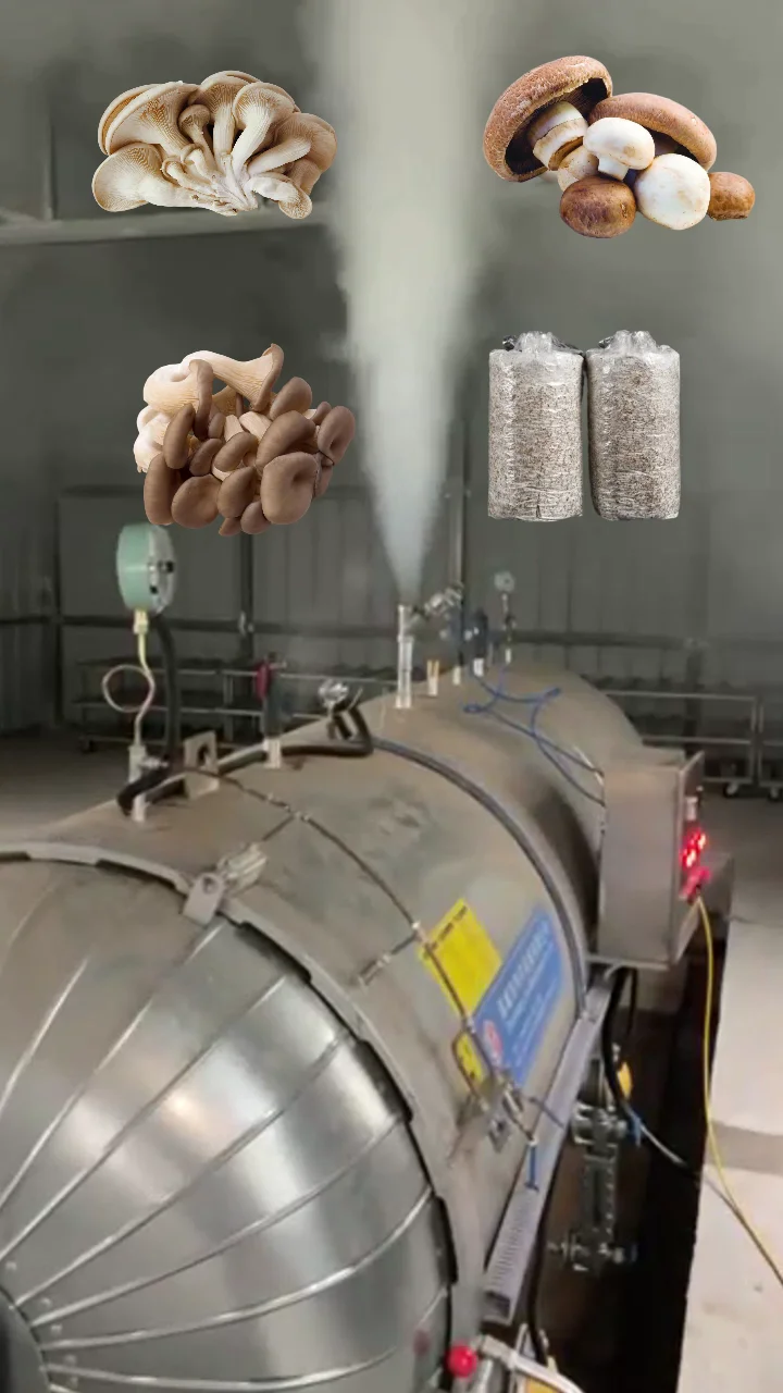 2024 New Large Retort Machine Mushroom Growing Equipment Mushroom