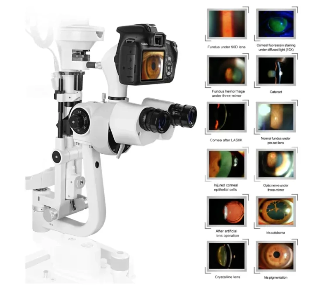 Hot Sale LS-5DX Digital Slit Lamp Ophthalmic Equipment Eye Examination Tool with Digital Capture for Optometry Clinic