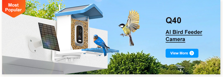 The Backyard Revolution You Didn't Know You Needed: Is This Smart Bird Feeder a Scam or the Future?