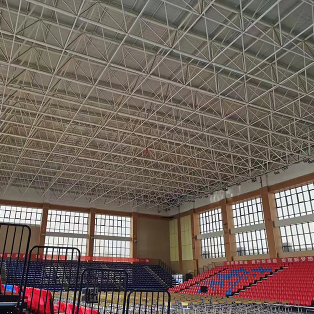High Quality Latest Design Large Span Space Frame Steel Structure Spherical Dome Shed for Exporting
