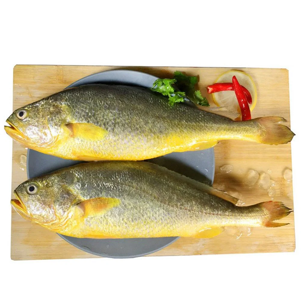 Frozen Yellow Croaker - Low-Fat, Nutritious Fresh Fish