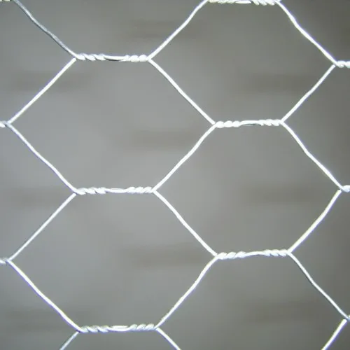 Galvanized Chicken Wire Mesh for Plaster