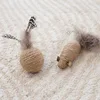 Ensemble de billes de souris