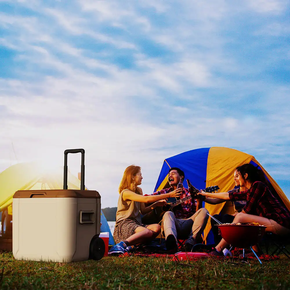 Fish Cooler Cold Box Large Igloo Coolers Portable Outdoor Picnic 52L Coolerbox