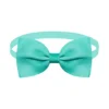 Duck green