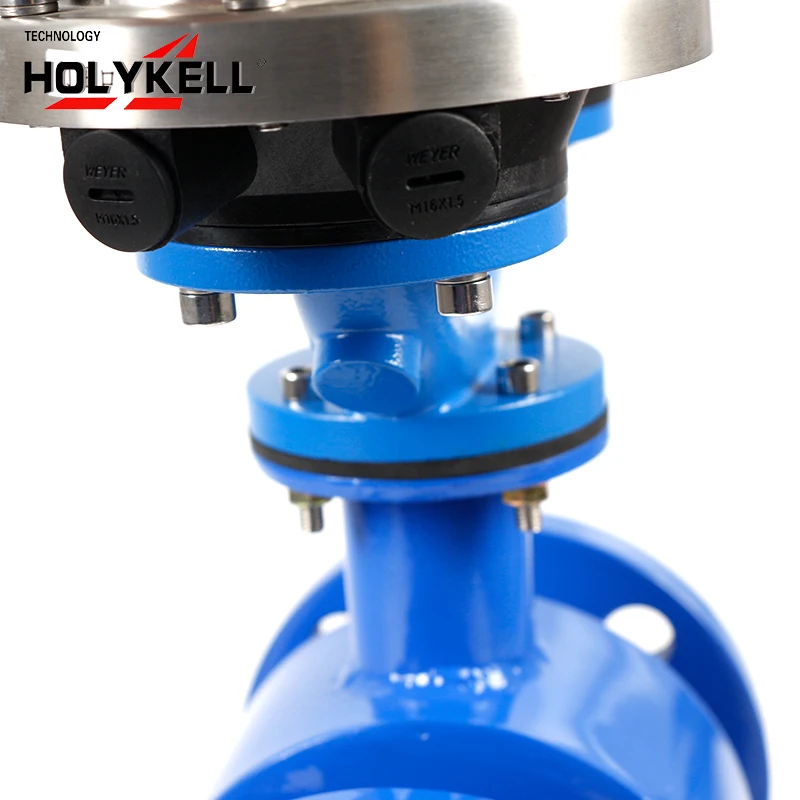 Holykell Wireless Electromagnetic Water Flow Meter Flowmeter Iot